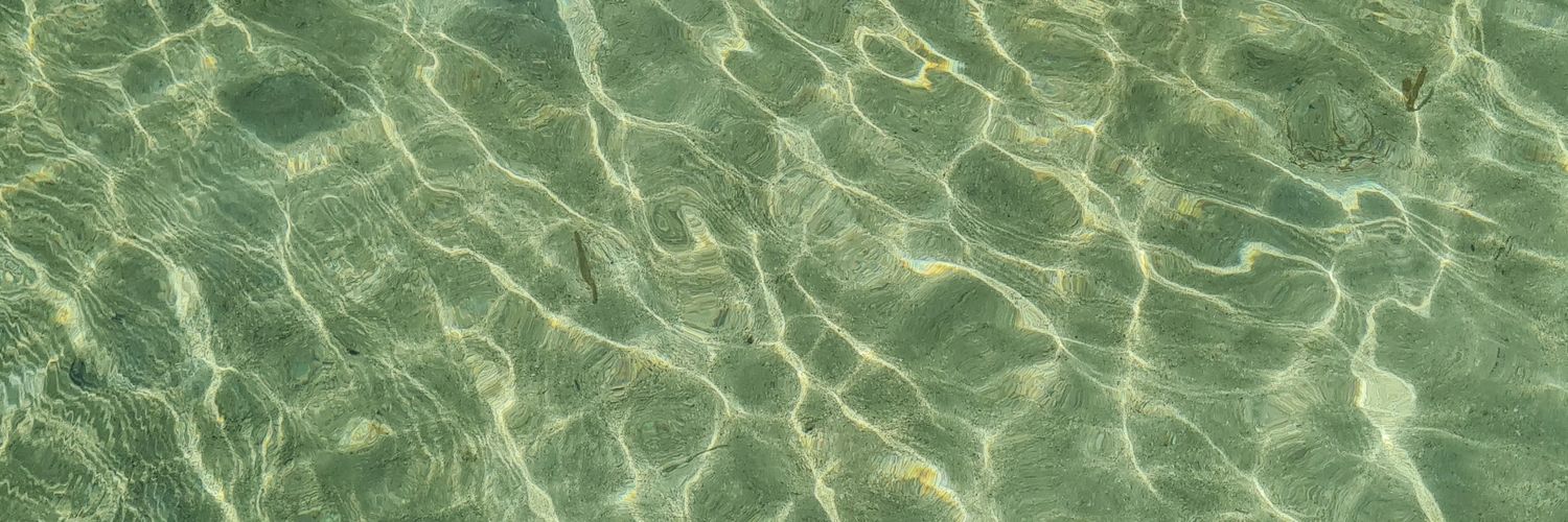ADJIEctive's profile banner image