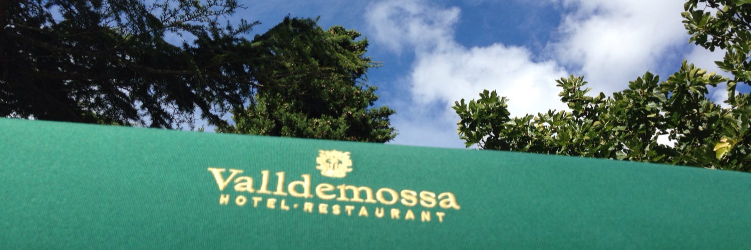 ValldemossaH's profile banner image