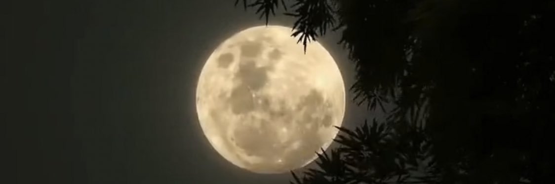 أمجــاد| نايس ون amjad12 banner