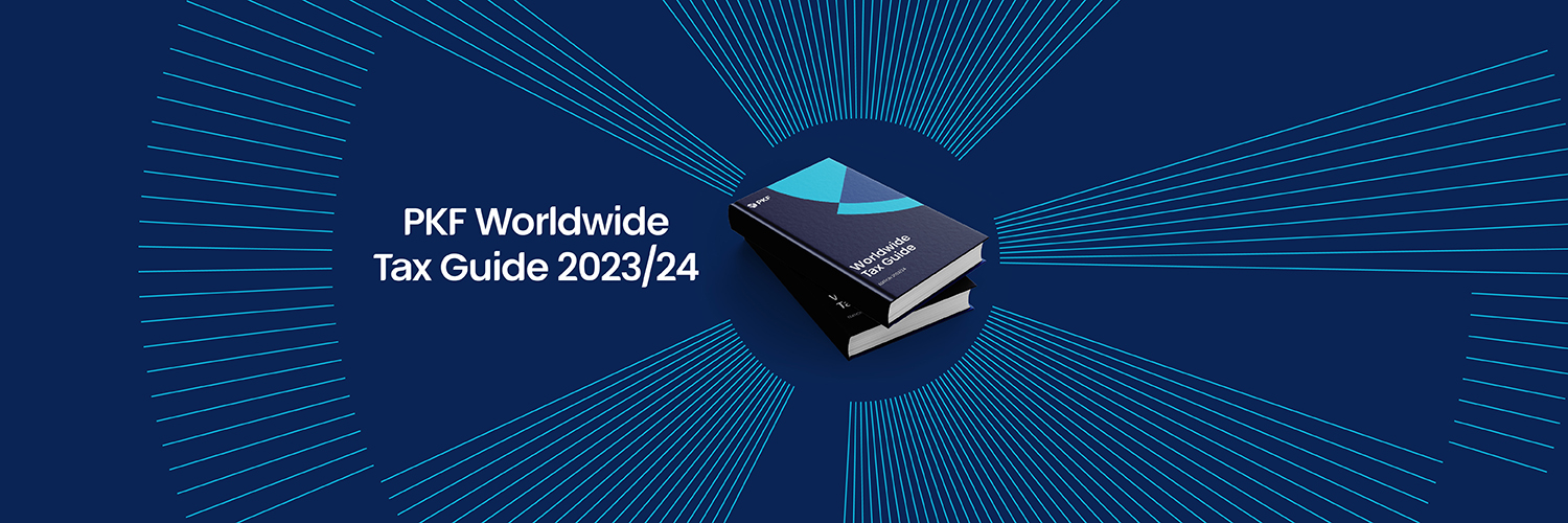 PKF International banner