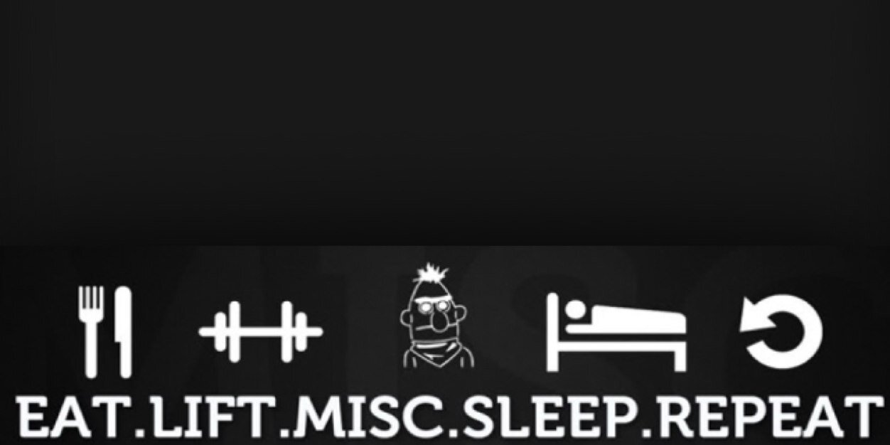 Dustlagoss's profile banner image