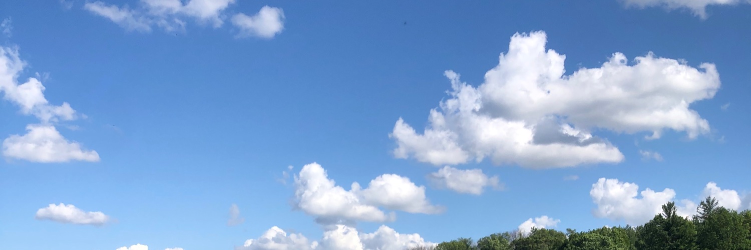 The High School Librarian banner