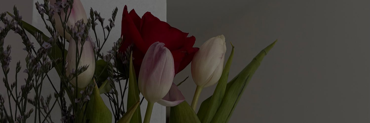 vxleriaa__'s profile banner image