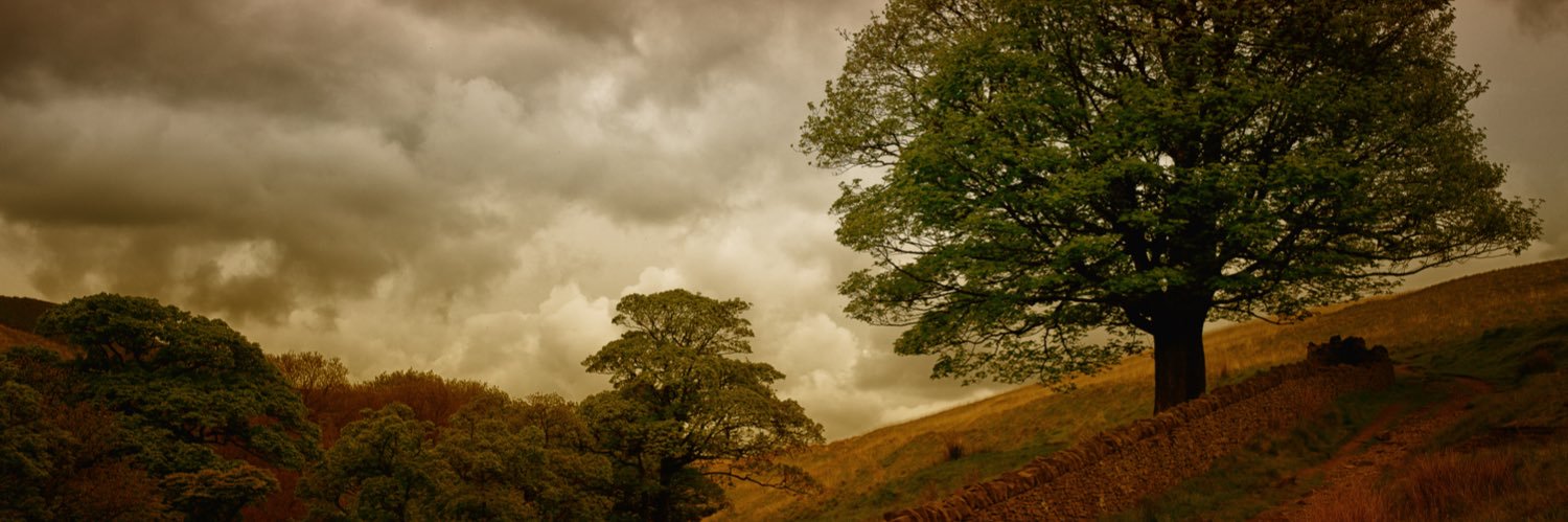 ArminD_mb's profile banner image