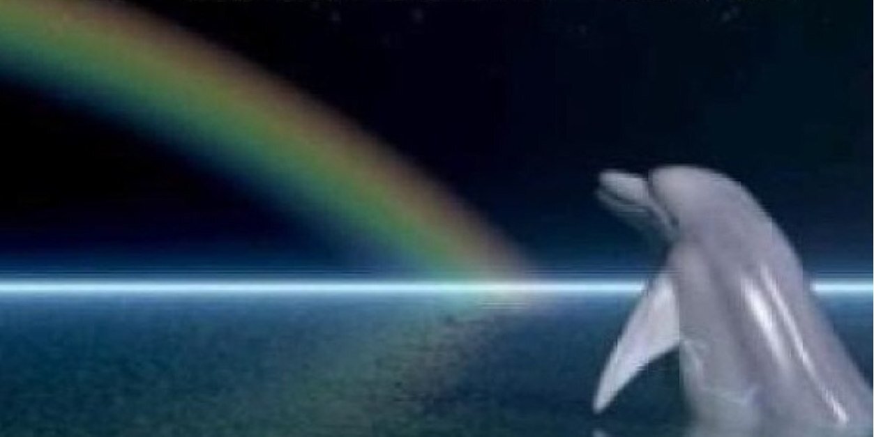 JDodds94's profile banner image