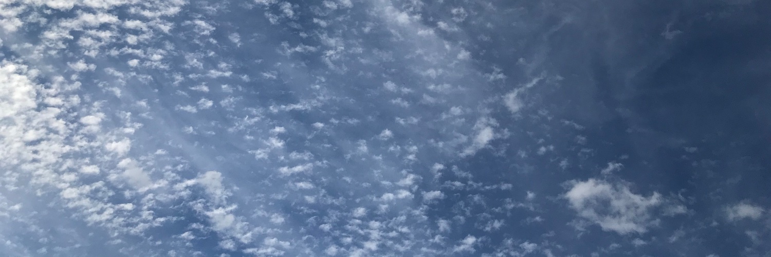Heidiwitzga's profile banner image