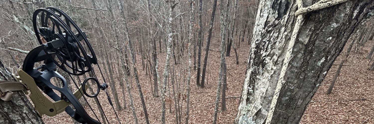 Jackson Illingworth banner