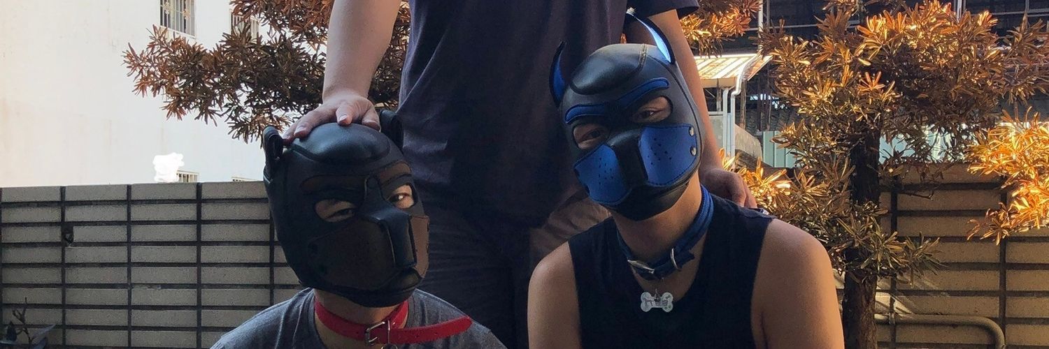 stupiddog1217's profile banner image
