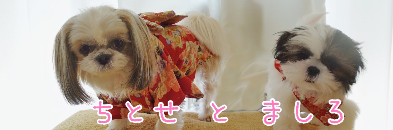 chitose929's profile banner image