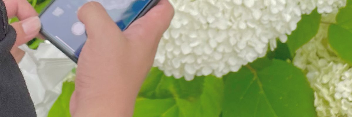 _fuu2001's profile banner image