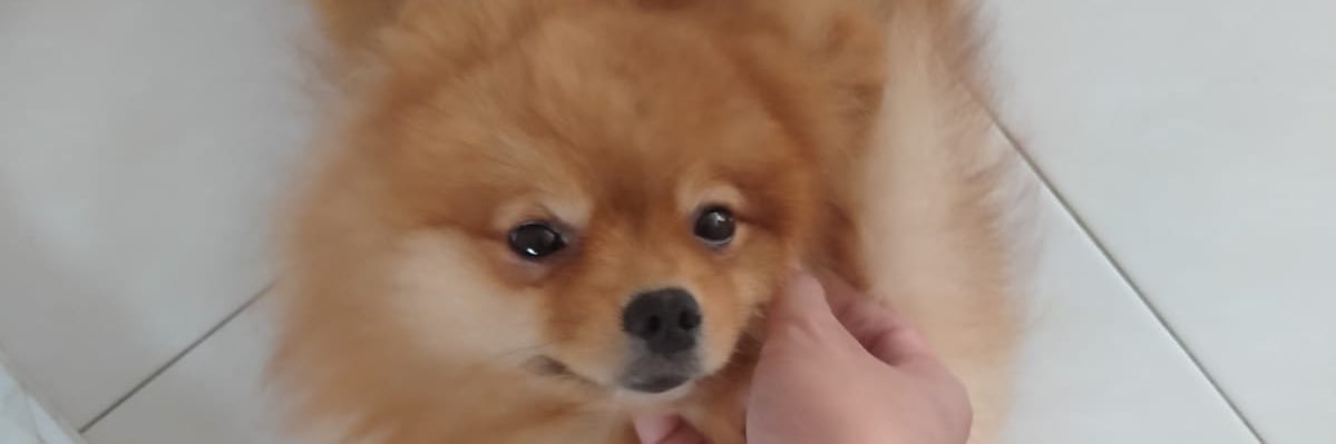 c_yanyi's profile banner image