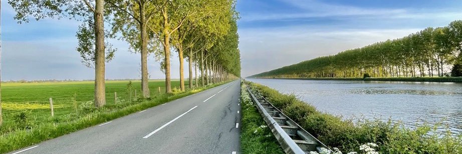 Rob Hoeijmakers banner