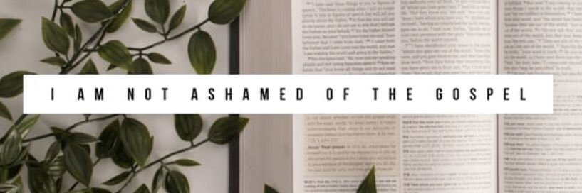 BridKWalsh's profile banner image