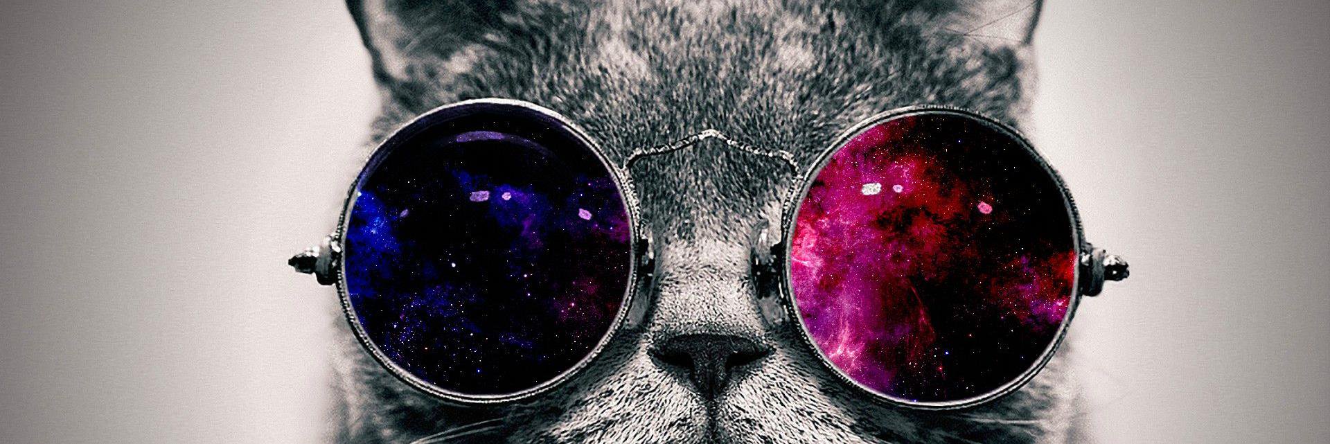 RodigoCl's profile banner image