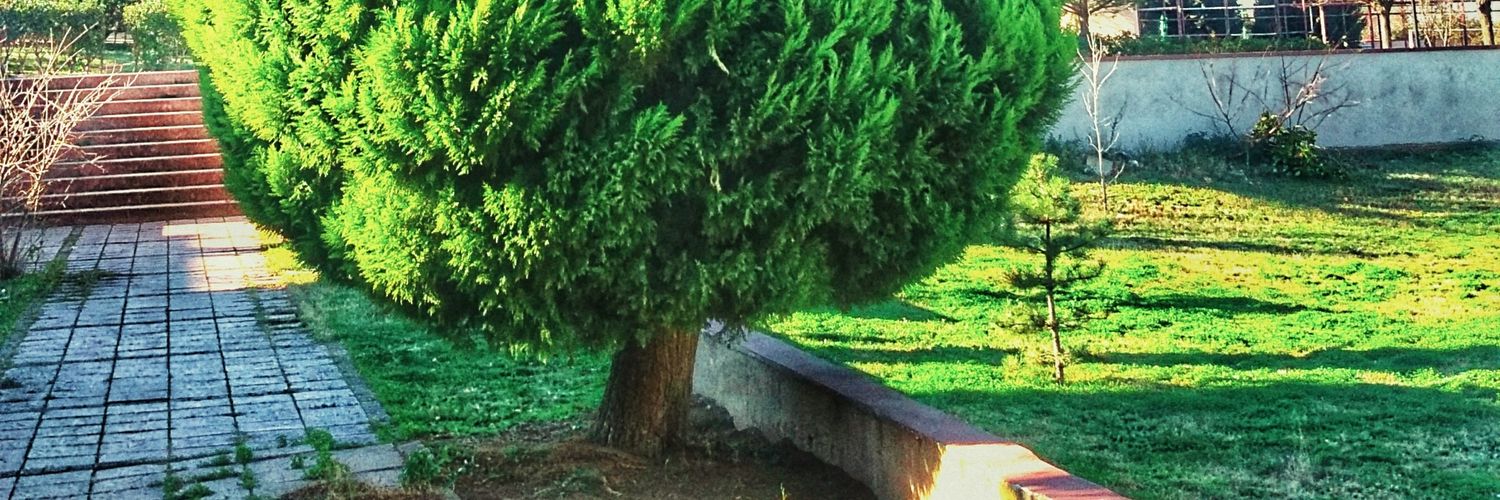 bencanansen's profile banner image