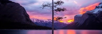 wellherenow's profile banner image