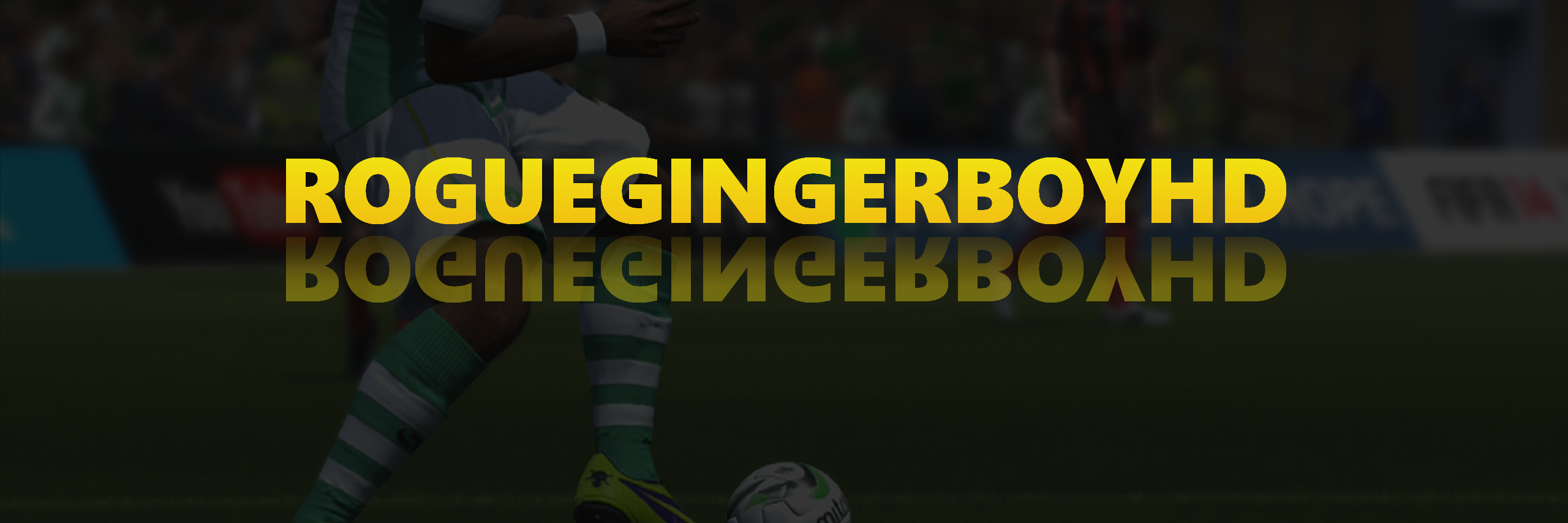 RogueGingerboy's profile banner image