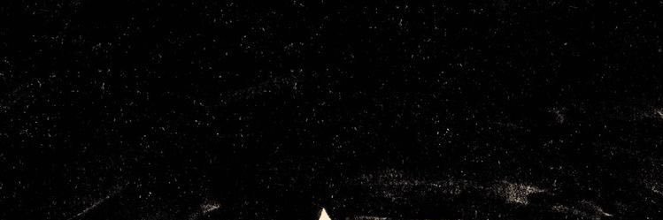 🪻 banner