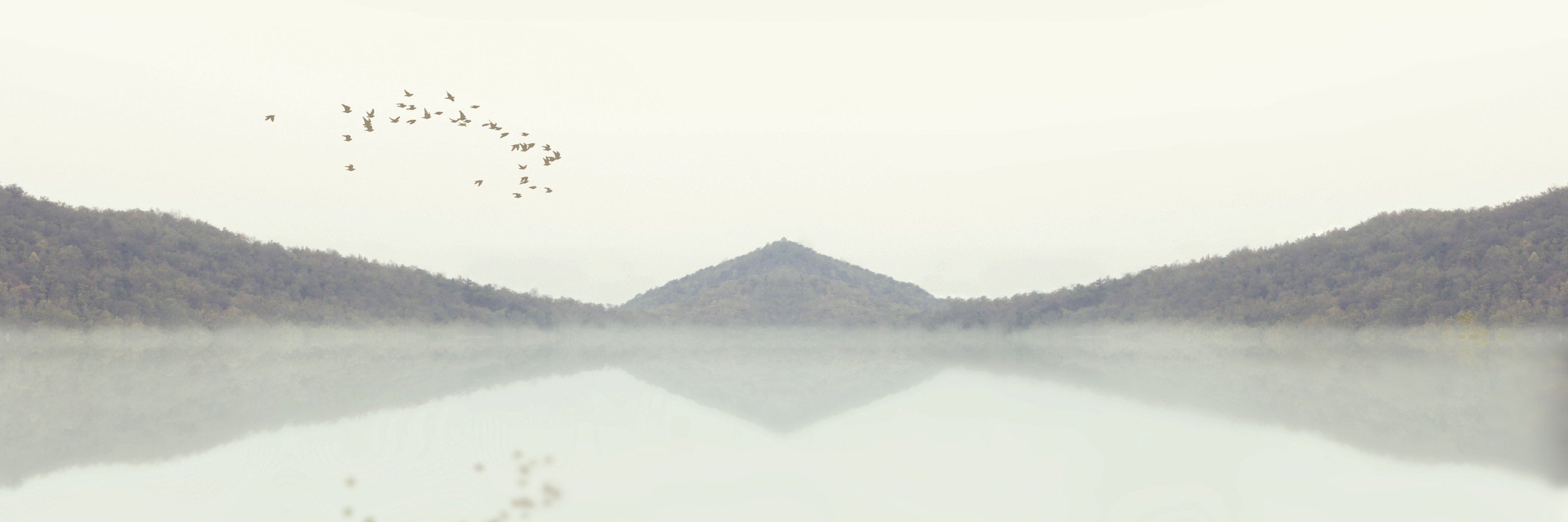 Dan Phillipson banner