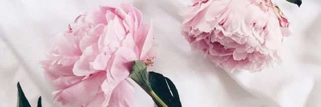 selinitmec94's profile banner image