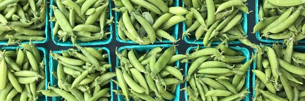 Union Sq Greenmarket Profile Banner