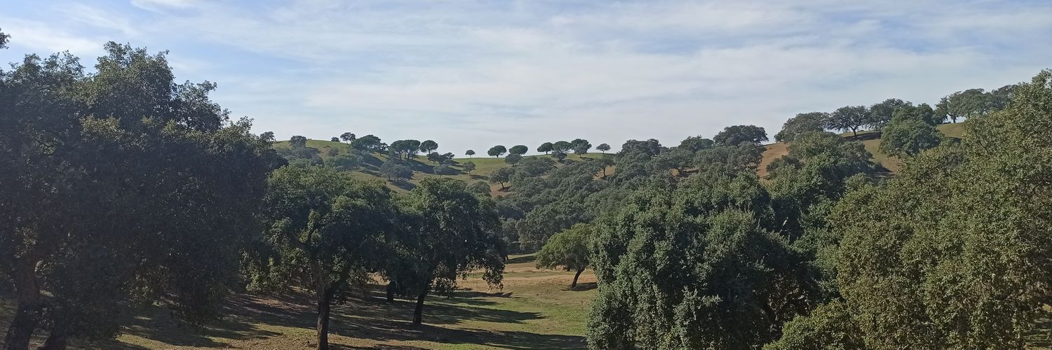 MartosInma's profile banner image