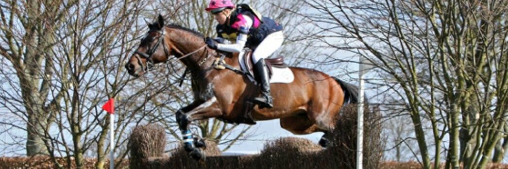 Laura Parkes banner