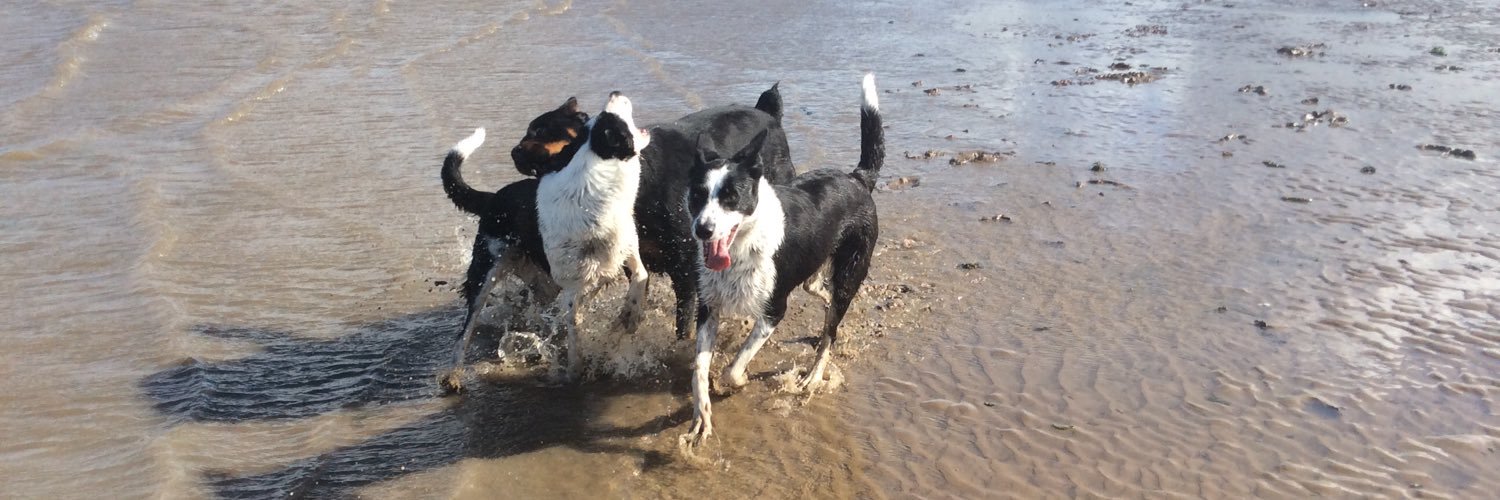 Mr Indifferent  ⚒❤️ banner