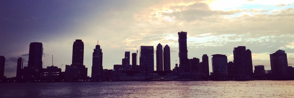 Johan Diepens banner