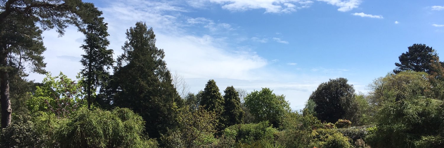 KnapperRosie's profile banner image