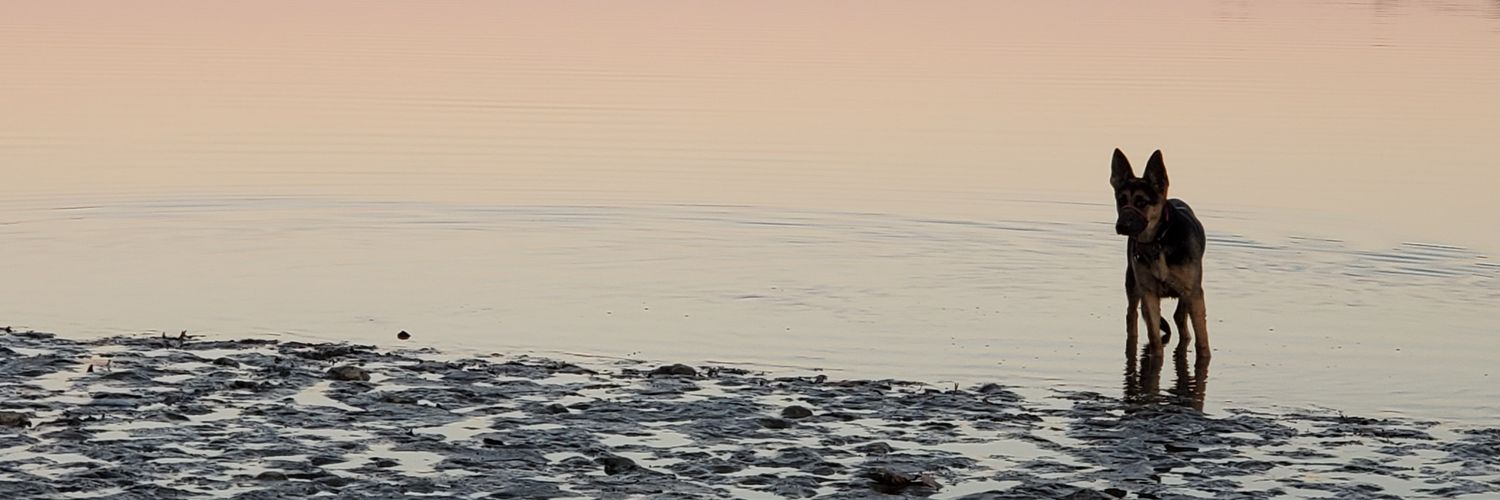 tandrew95's profile banner image