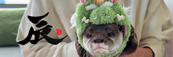 カワウソ コタロー&ハナ Otter Kotaro&Hana Profile Banner