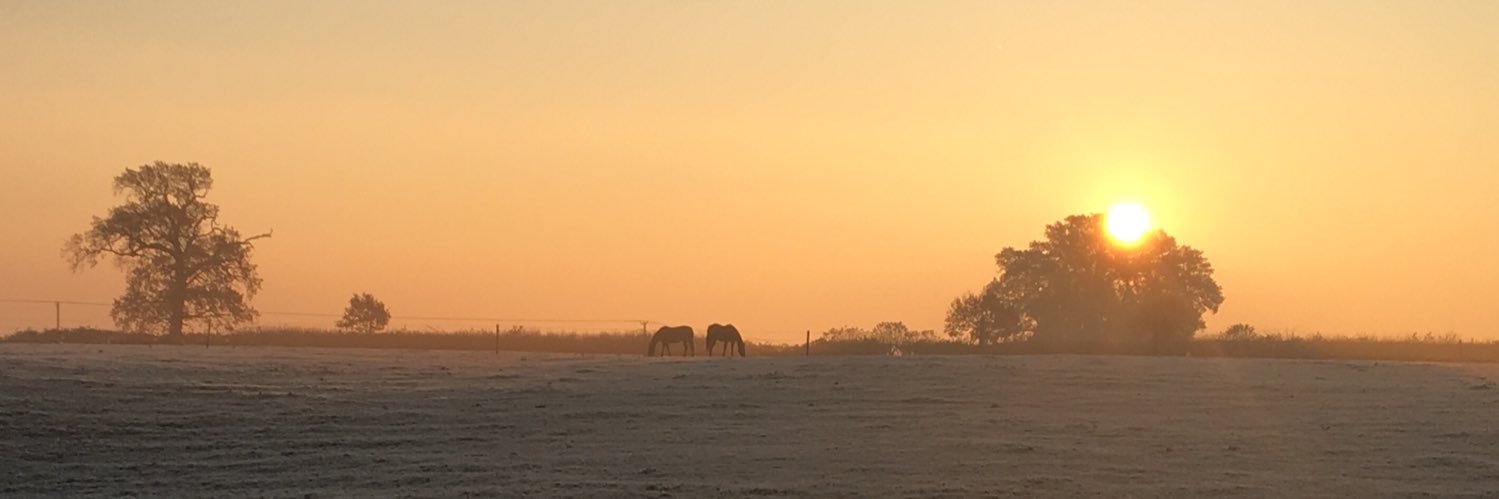 Camilla_Strang's profile banner image