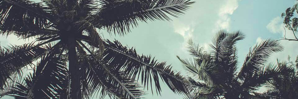 VerooCenteno's profile banner image
