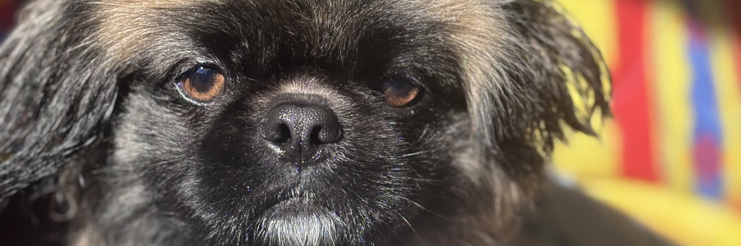 iamtanemm's profile banner image