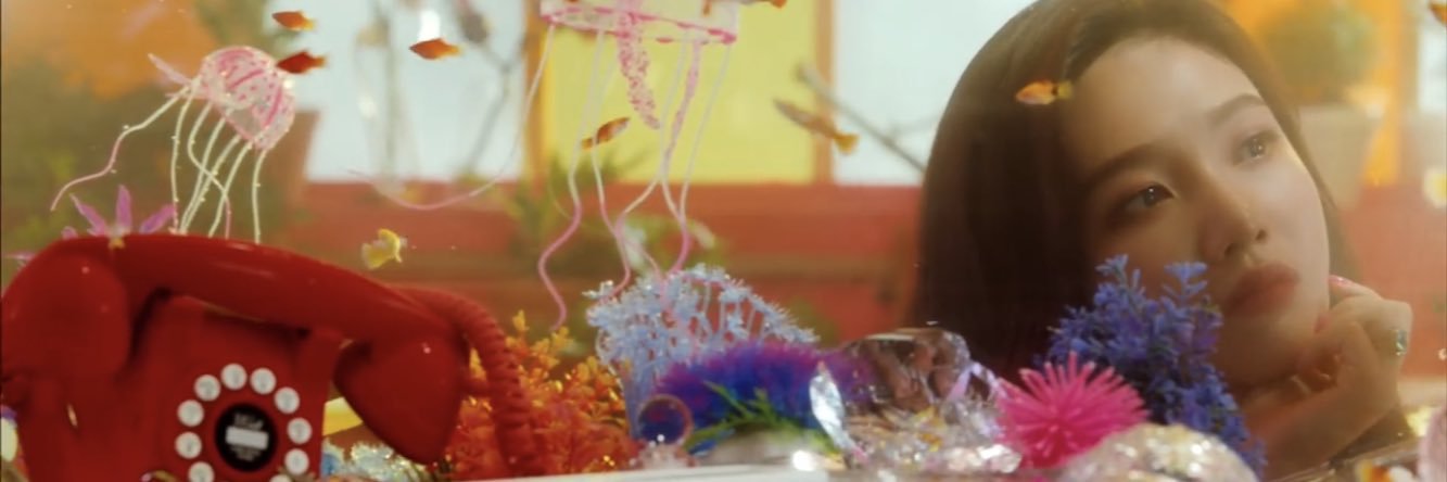 ꒰՞˶ˊᵕˋ˶՞꒱ banner