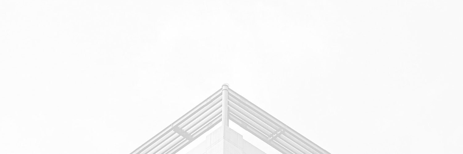 Domon banner