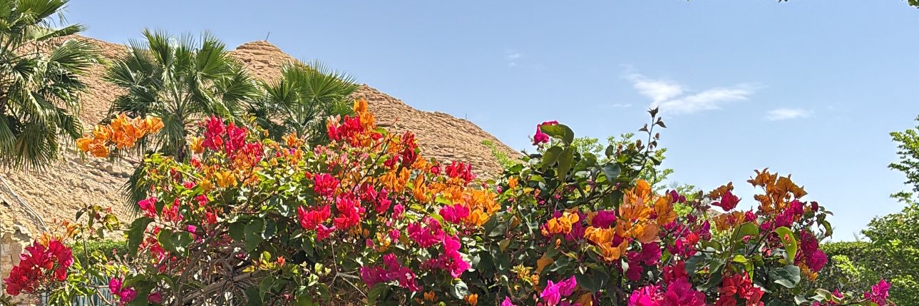 ManalRsheed's profile banner image