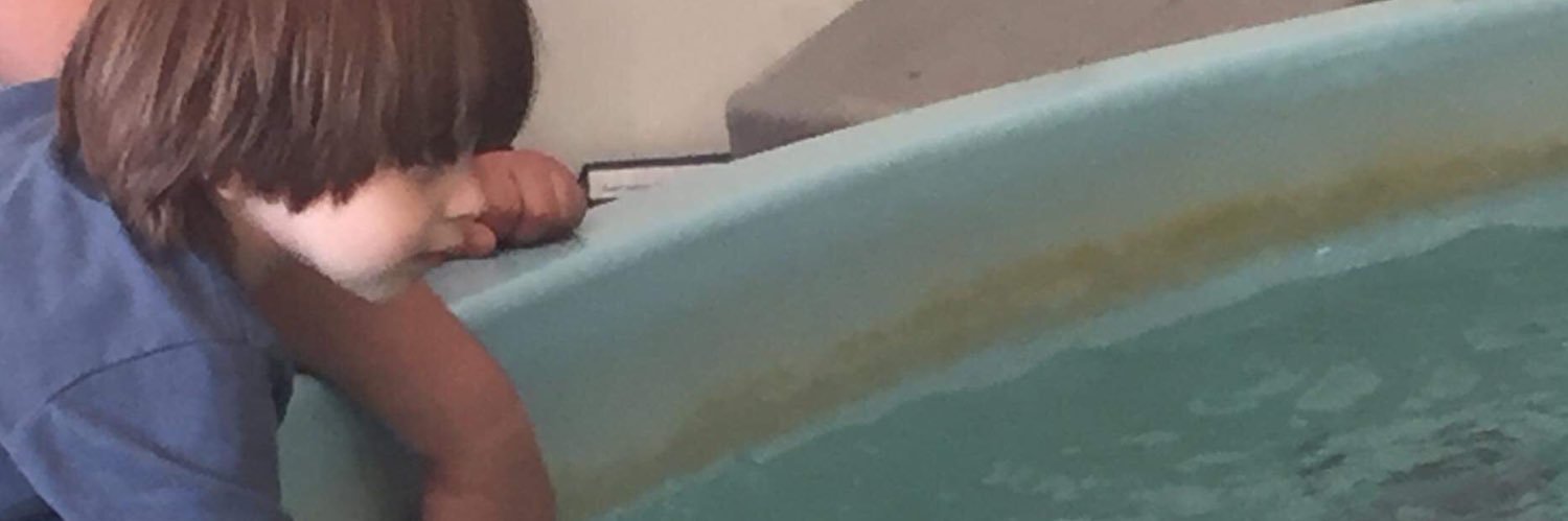 Mom_niscient's profile banner image