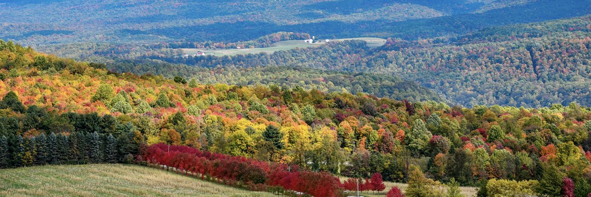 debbskis's profile banner image