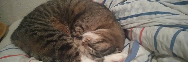 MrFrischi Profile Banner