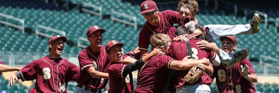 Springfield Tigers Baseball banner