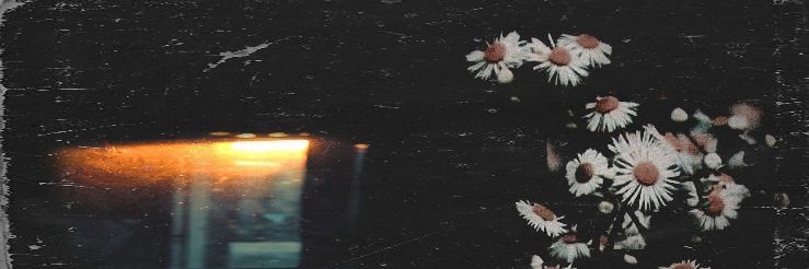 lilyxgloss's profile banner image