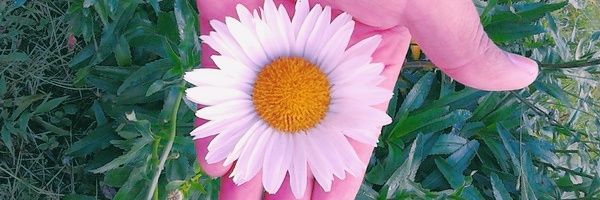 Ashleymarquezp's profile banner image