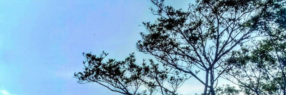 Chemadu's profile banner image