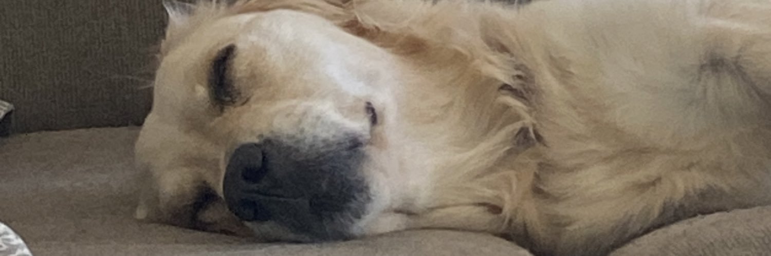 ConnorPDuff1's profile banner image