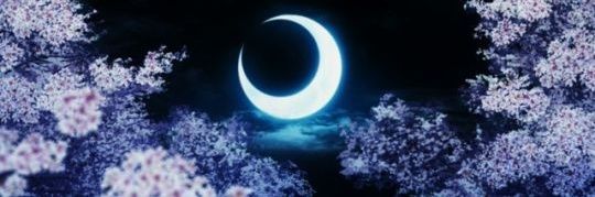 LC_feles's profile banner image
