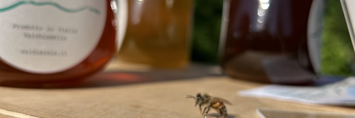 Tiziano Creola banner