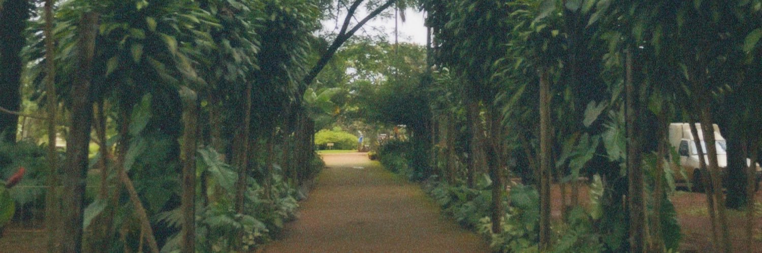 Renatexx2's profile banner image