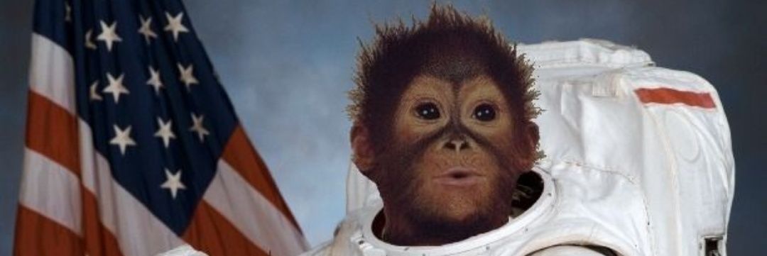 Burt_Mugurt's profile banner image